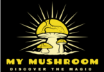 Mushroom Store