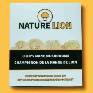 Lion's Mane Mushroom Grow Kit