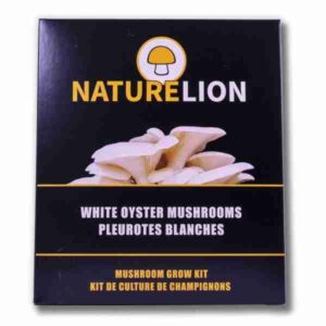 White Oyster Mushroom Grow Kit